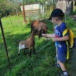 phoca_thumb_m_motlci vlet 15 Fotogalerie